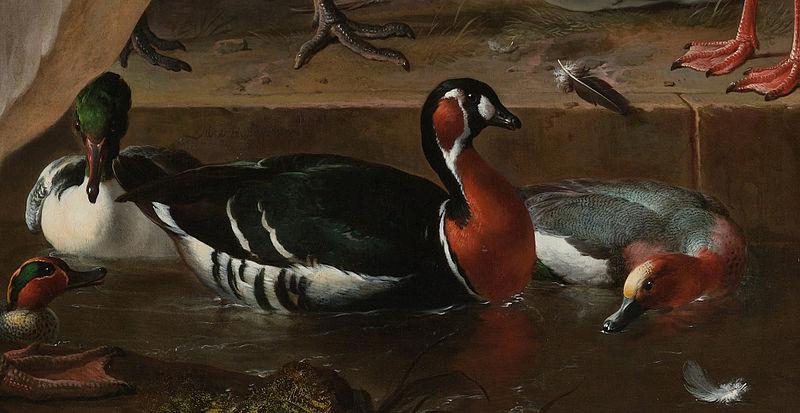 HONDECOETER, Melchior d A Pelican and Other Birds Near a Pool, known as 'The Floating Feather' oil painting image